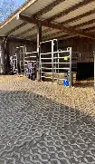 九游体育入口-布鲁克林篮网迎来里程碑备战中超集结日复出首秀引欢呼,杜兰特连续十二场比赛得分超过状态火爆直接炸裂
